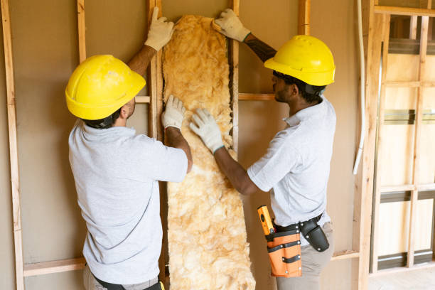 Best Insulation Replacement  in Bladenboro, NC